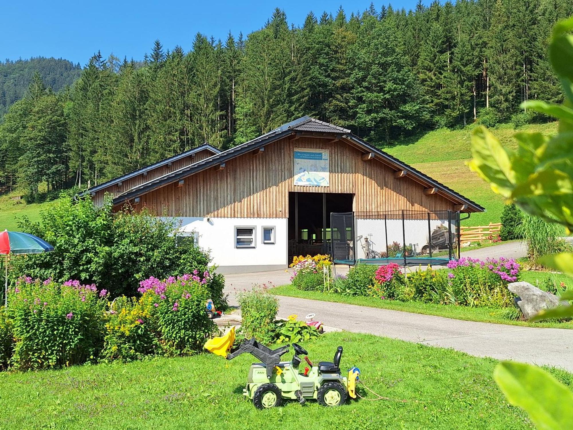 Biobauernhof Poidlbauer Villa Göstling an der Ybbs Eksteriør billede