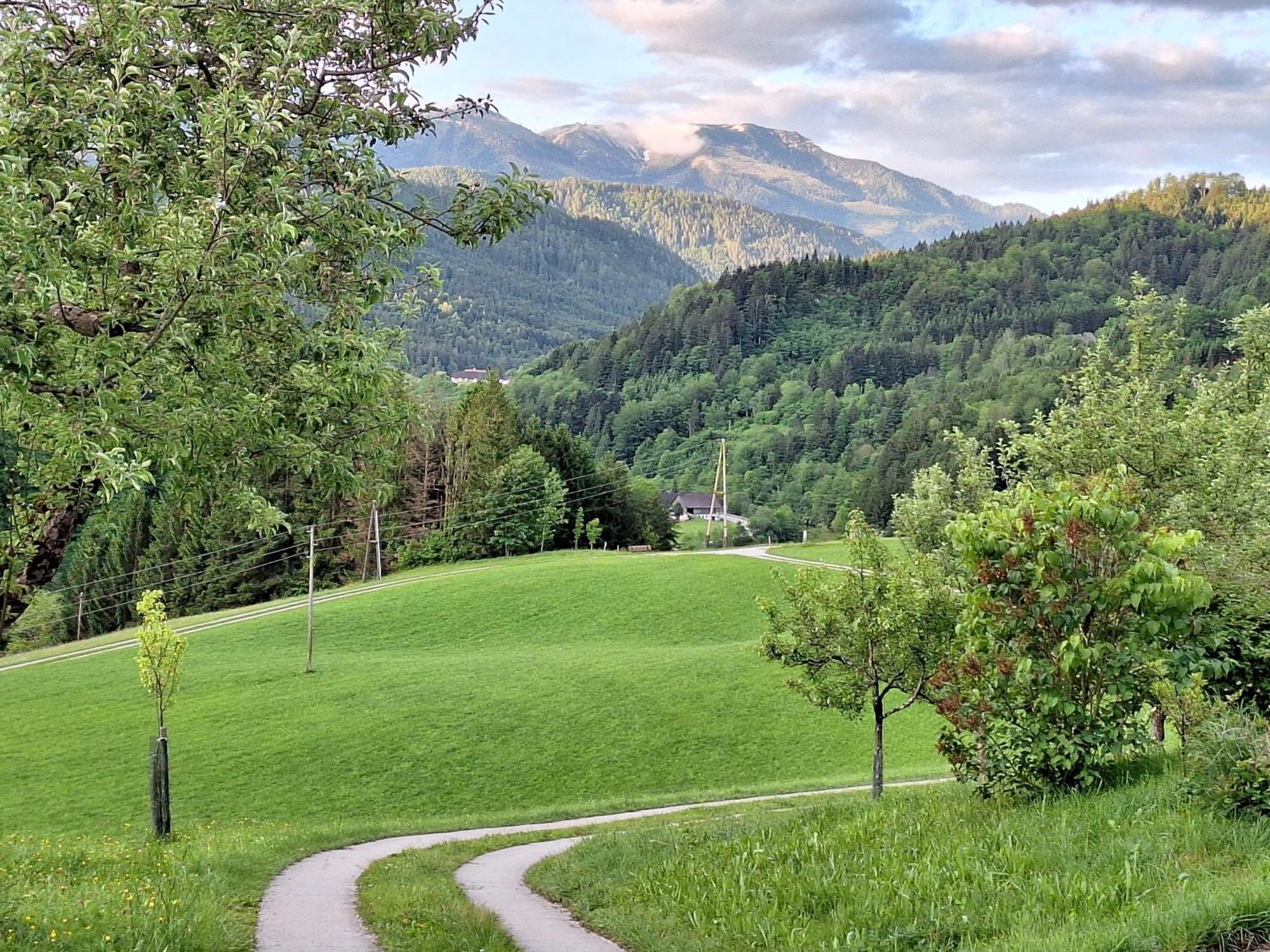 Biobauernhof Poidlbauer Villa Göstling an der Ybbs Eksteriør billede