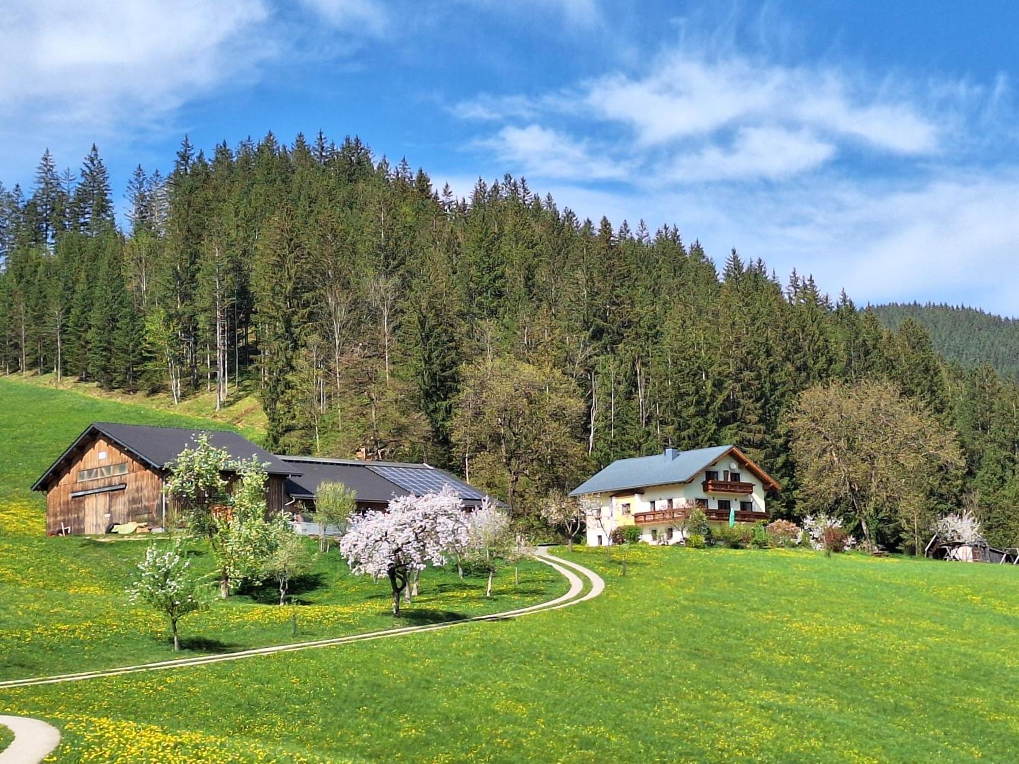 Biobauernhof Poidlbauer Villa Göstling an der Ybbs Eksteriør billede